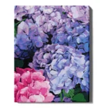 numeromaalaus-Hortensiat-numerotaide.fi