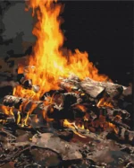 numeromaalaus-Kokko-numerotaide.fi1