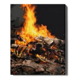 numeromaalaus-Kokko-numerotaide.fi