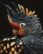 numeromaalaus-Musta papukaija-numerotaide.fi1