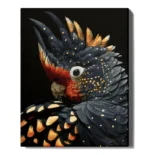 numeromaalaus-Musta papukaija-numerotaide.fi