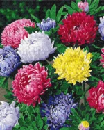 numeromaalaus-Värikkäät asterit-numerotaide.fi1