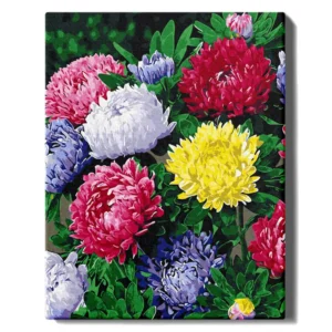 Värikkäät asterit