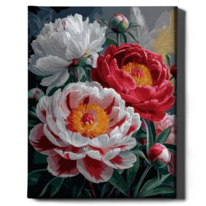 Värikkäitä ruusuja